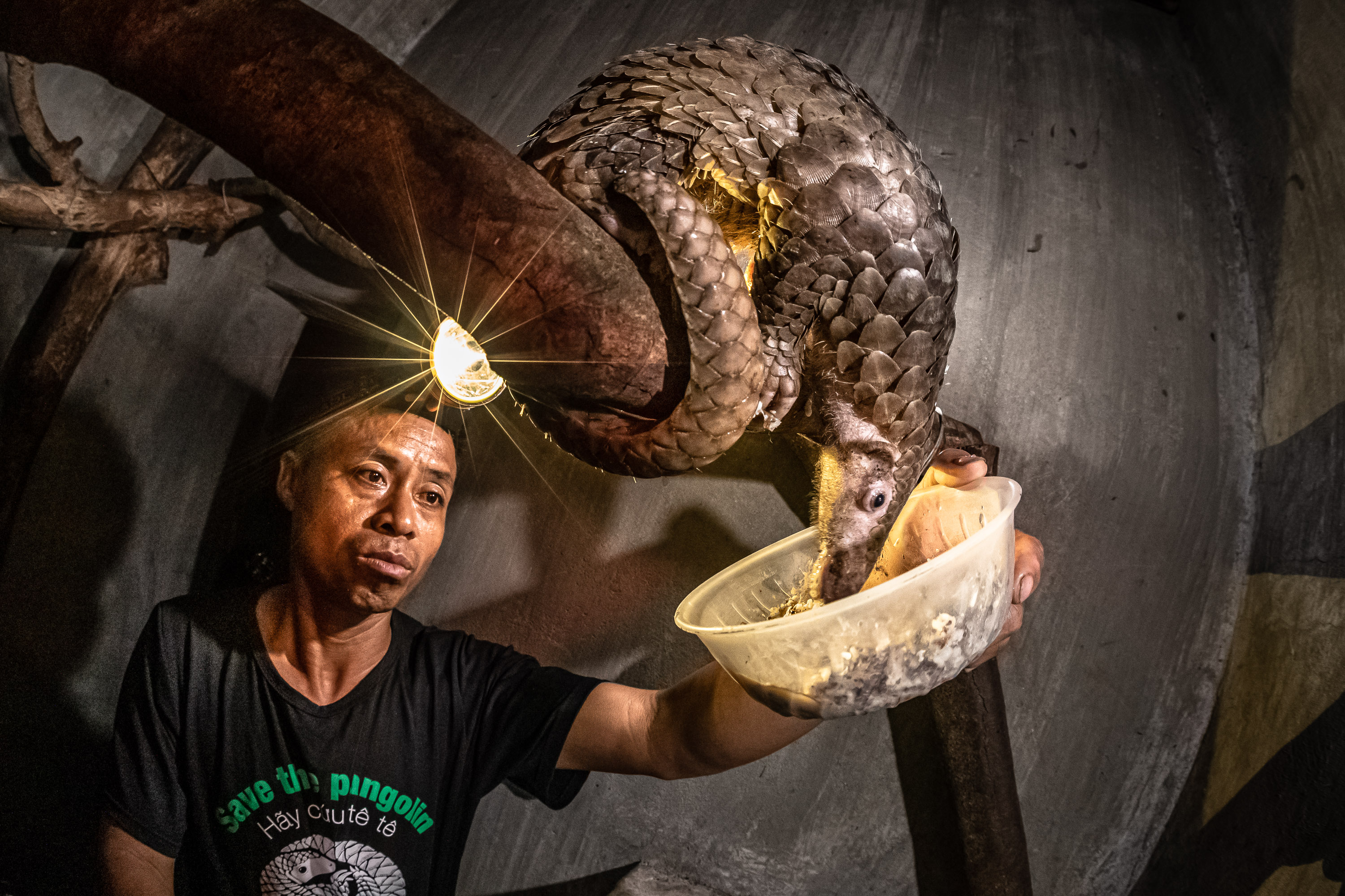 Carnivore and Pangolin Conservation Program (CPCP)
